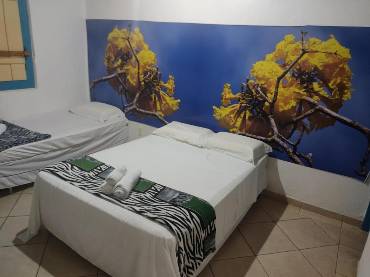 Pousada Colonial Pirenópolis Zewnętrze zdjęcie